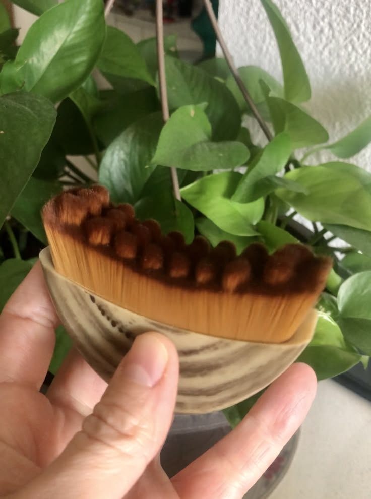 Lymphatic Face Brush